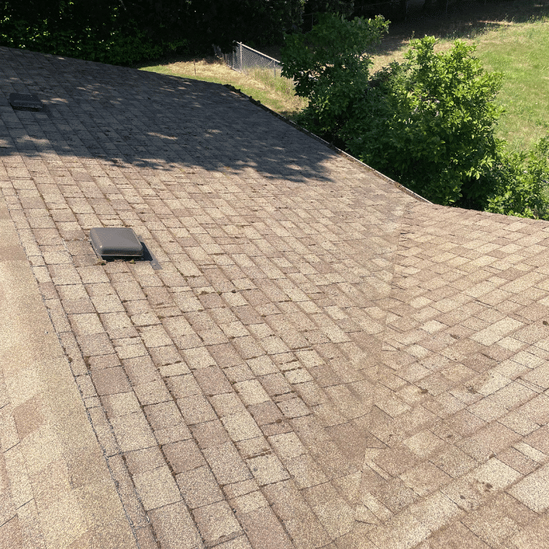 Roof Cleaning in Lake Oswego, OR