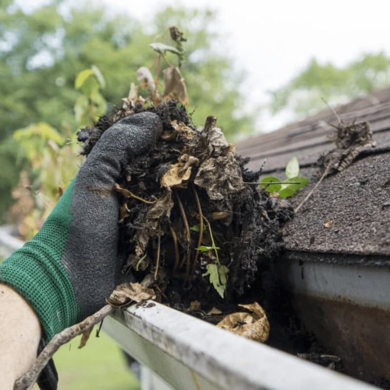 Top Gutter Cleaning Company in Sherwood, OR